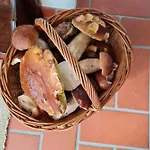 Morowo * チュフフ