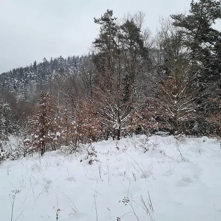 Morowo * チュフフ